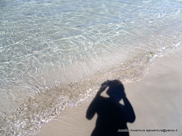 SAMSUNG DIGITAL CAMERA