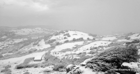 On top of ole smoky all covered in snow