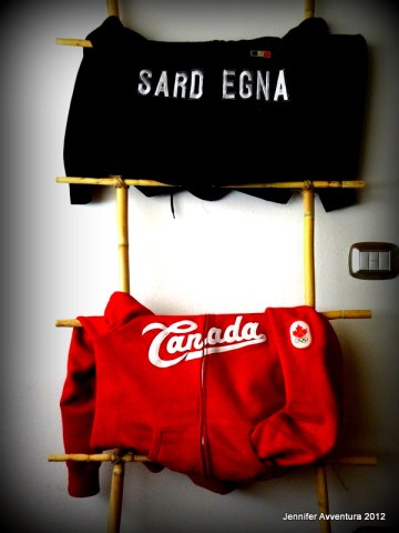 Canadian/Sardinian Bamboo Ladder