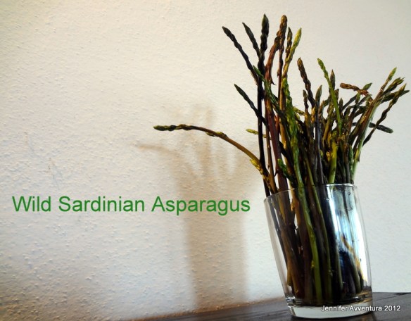 Wild Sardinian Asparagus