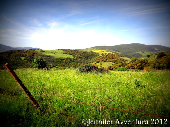 Stazzi E Cussoggji by Jennifer Avventura 2012 (4)