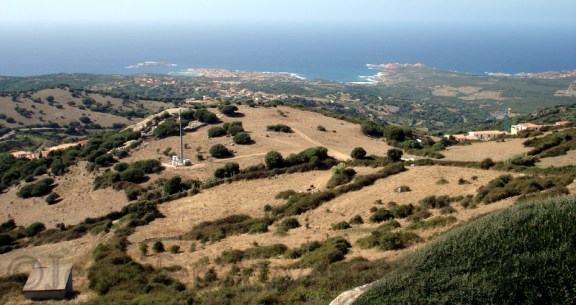 Jennifer Avventura (7)