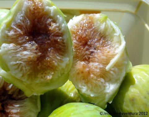 Li Feruli by Jennifer Avventura 2012