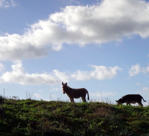 Jennifer Avventura 2012 (2)