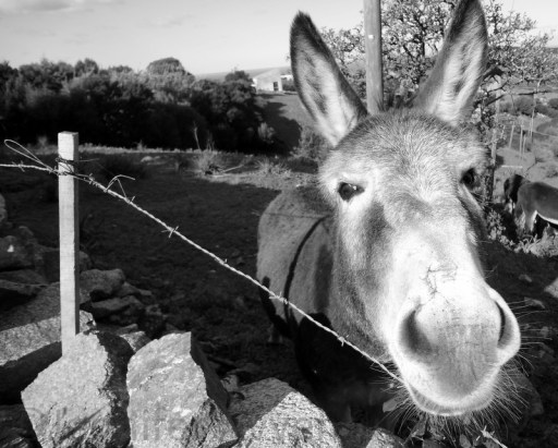 Jennifer Avventura 2012