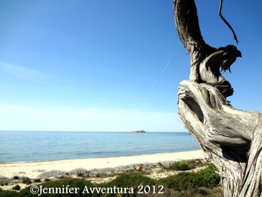 Li Feruli by Jennifer Avventura 2012 (5)