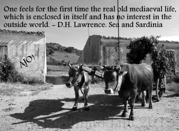 Jennifer Avventura 2013