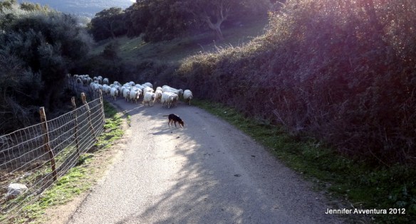 Road by Jennifer Avventura 2013