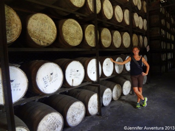 Appleton Estate Jamaica by Jennifer Avventura 2013