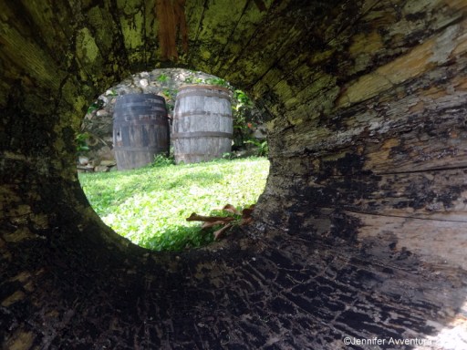 Curves by Jennifer Avventura 2013