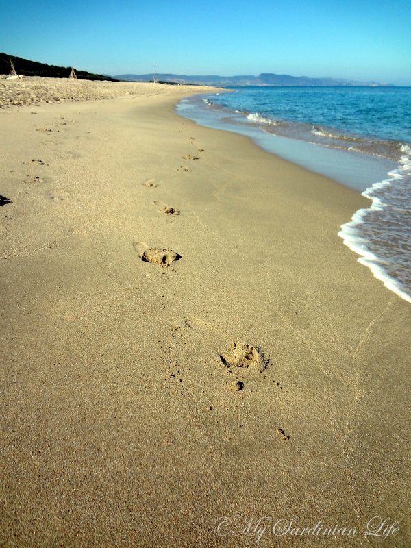 Jennifer Avventure One Shot Two Ways My Sardinian Life 2013