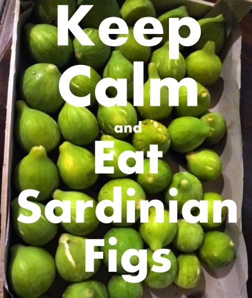 by Jennifer Avventura