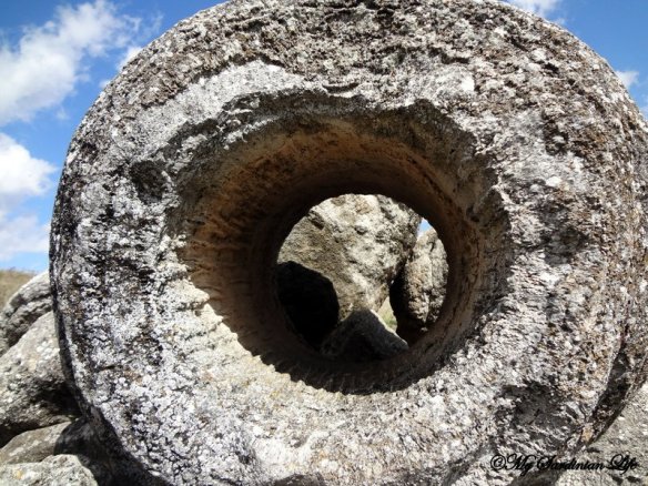 Petrified Forest of Carrucana Foresta fossile di Carrucana by Jennifer Avventura My Sardinian Life (1)
