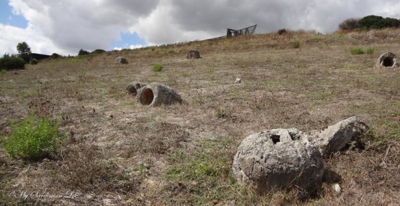 Petrified Forest of Carrucana Foresta fossile di Carrucana by Jennifer Avventura My Sardinian Life (5)