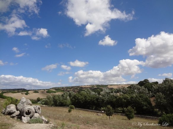 Petrified Forest of Carrucana Foresta fossile di Carrucana by Jennifer Avventura My Sardinian Life (7)