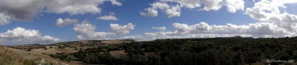 Petrified Forest of Carrucana Foresta fossile di Carrucana by Jennifer Avventura My Sardinian Life (8)
