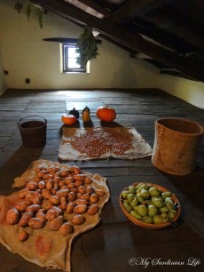 Toneri, Tonara by Jennifer Avventura My Sardinian Life (3)