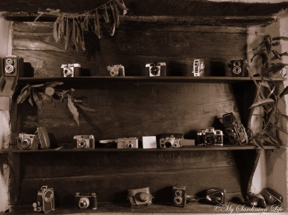 Camera photography by Jennifer Avventura My Sardinian Life