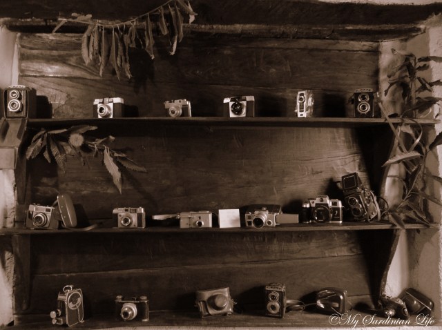 Camera photography by Jennifer Avventura My Sardinian Life