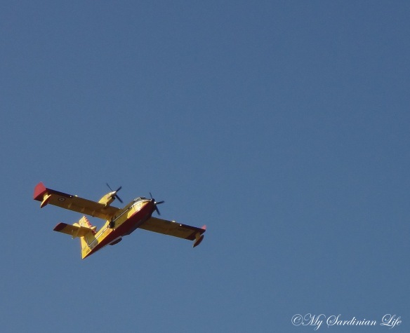 Canadair flying the friendly blue sky