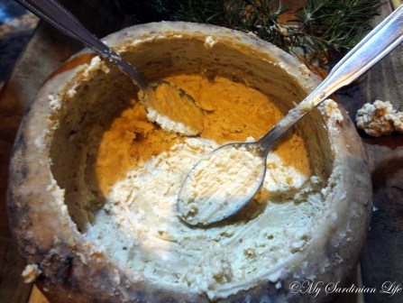 Casu Marzu by Jennifer Avventura My Sardinian Life (2)