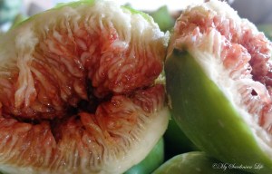 Fig porn by Jennifer Avventura My Sardinian Life