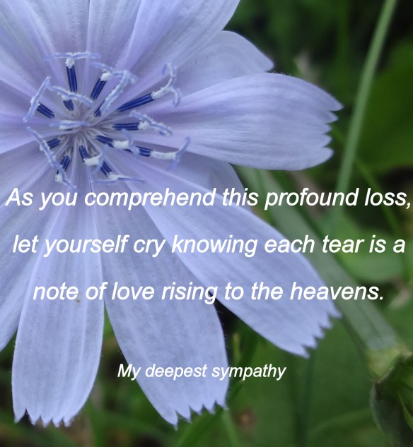 Jennifer Avventura My Sardinian Life