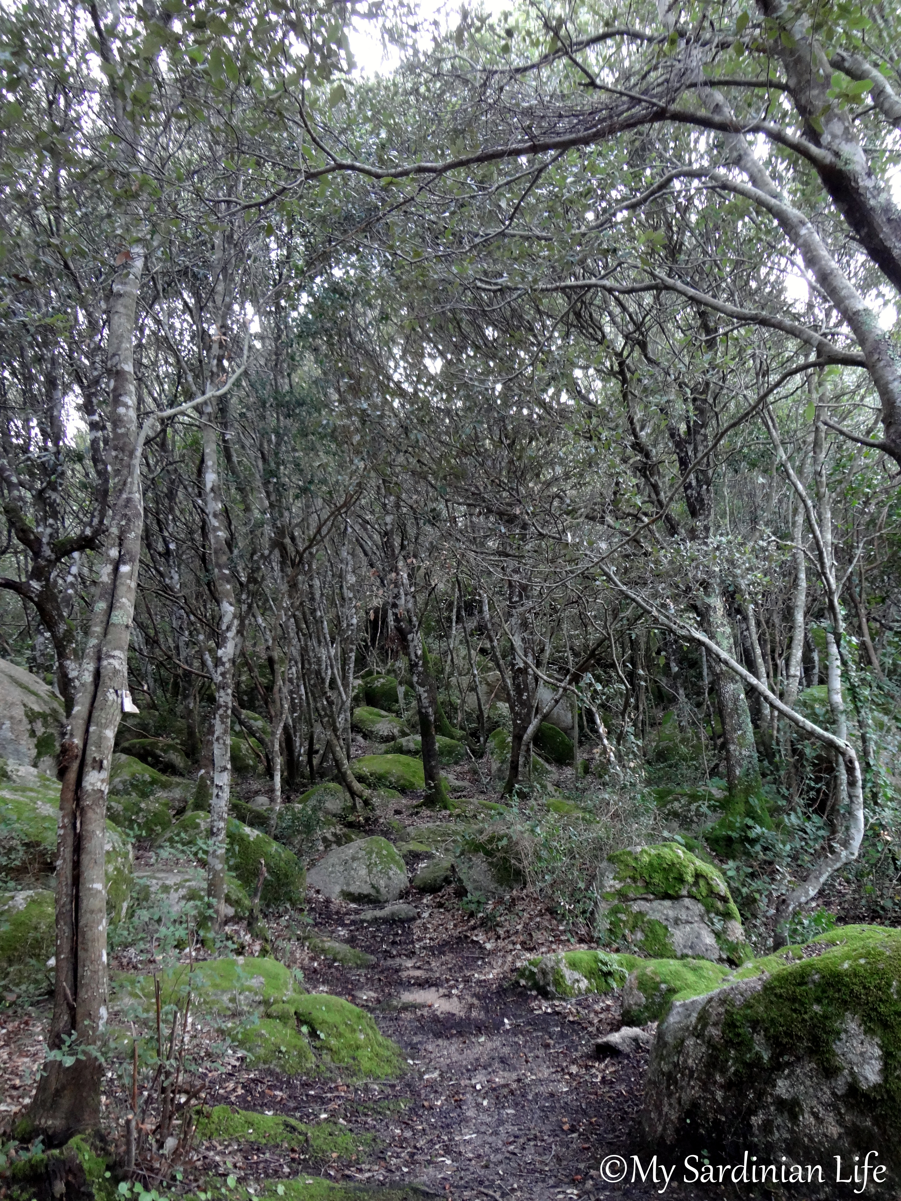 Jennifer Avventura My Sardinian Life 2014