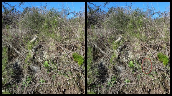 My Sardinian Life Jennifer Avventura 2014