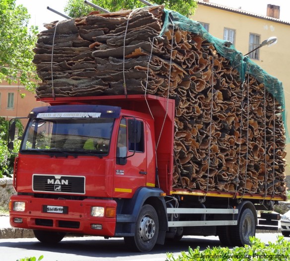 June cork by Jennifer Avventura