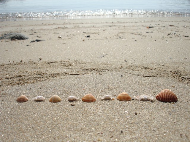 Jennifer Avventura My Sardinian Life (31)